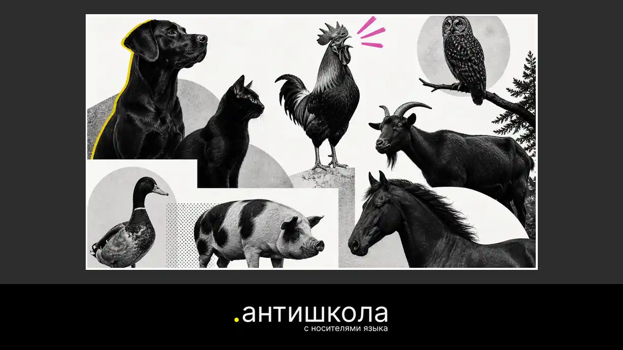 Звуки животных на испанском: guau, cuac, meee